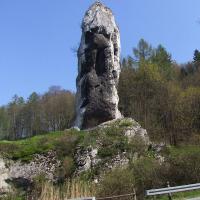 , wojtek