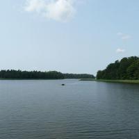 , wojtek