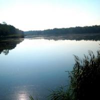 Staw Duży , Roman Świątkowski