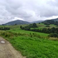 Dz6: W stronę Maciejowej, DoRi