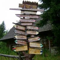 Dz6: Turbacz, DoRi