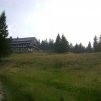 Dz6: Żegnamy schronisko, DoRi