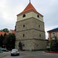 , Roman Świątkowski