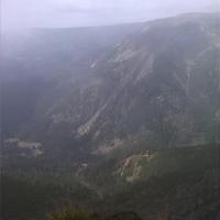 , marian