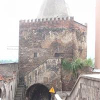 , mokunka