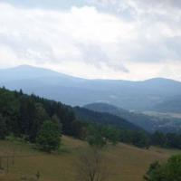 , Krzysztof Dorota