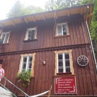 Schronisko Kochanówka, Tadeusz Walkowicz