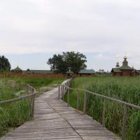 , toja1358