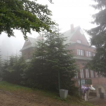 Dz2: Stożek Wlk, DoRi