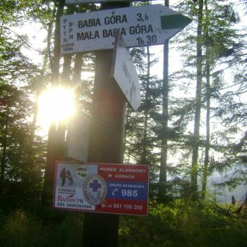 Dz5: Przełęcz Jałowiecka, DoRi