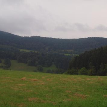 Idę w deszczu, Tadeusz Walkowicz