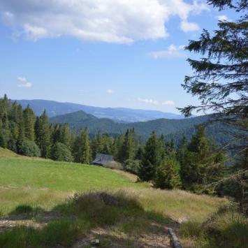Beskid Sądecki, Katarzyna Jamrozik