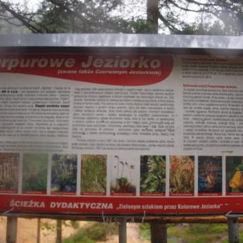 Purpurowe Jeziorko, Tadeusz Walkowicz