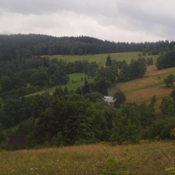 Teraz do Sch. Czartak, Tadeusz Walkowicz