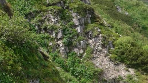 , Turysta