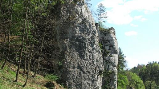 , wojtek