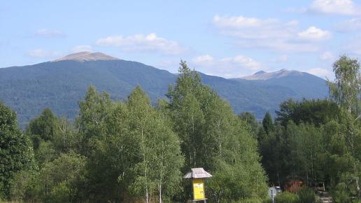 , wojtek