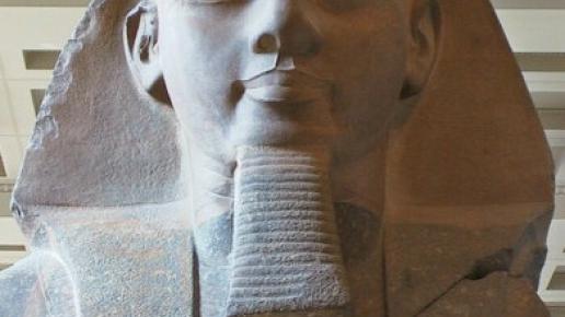 , wojtek