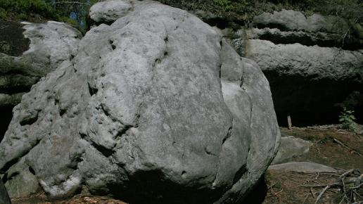 , wojtek