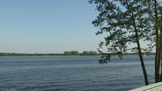 , wojtek