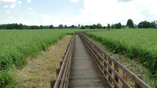 Kładka nad rozlewiskami Narwi, toja1358