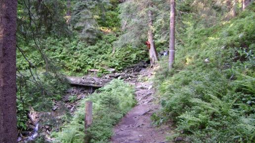 Dz4: W stronę Przełęczy Glinne-trawers Pilska, DoRi