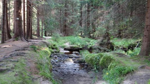 Żółtym szlakiem w stornę Skalnych Grzybków, Marcin_Henioo