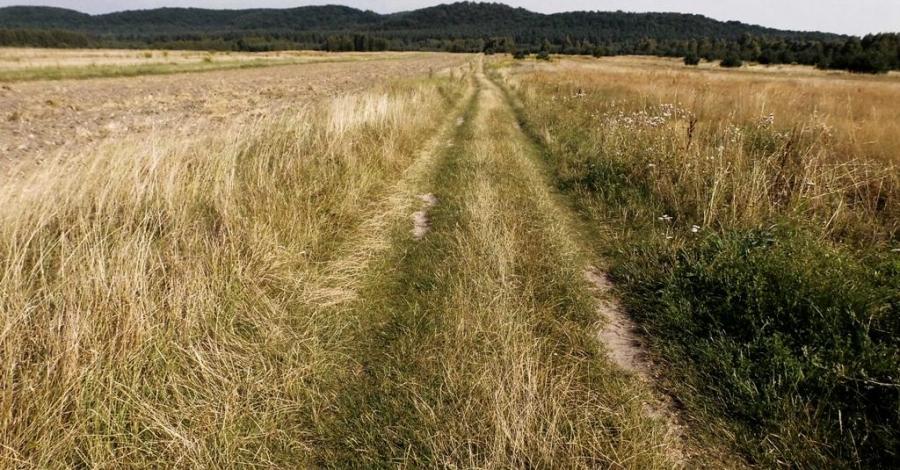Olsztyn nie musi być nudny (Biskupice, Zrębice, Sokole Góry, Biakło, Lipówki, Góry Towarne, Zielona Góra, Kusięta) - zdjęcie