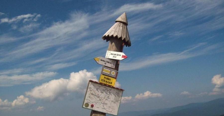 Wołosate - Tarniczka - Tarnica - Szeroki Wierch - Ustrzyki Górne. Bieszczadzkie wędrówki - zdjęcie