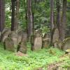 kirkut żydowski, Danusia