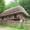 , Danusia