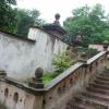 , mokunka