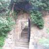 , mokunka