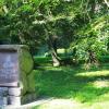 Park w Maciejowicach