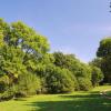 Park w Maciejowicach