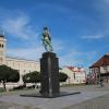 Radom rynek