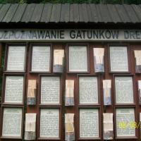 , mirosław