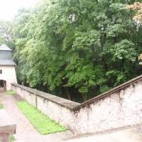 , mokunka