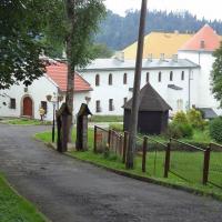 Zamek w Lesku, Danusia