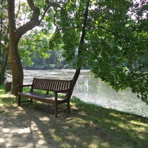 Park w Arkadii