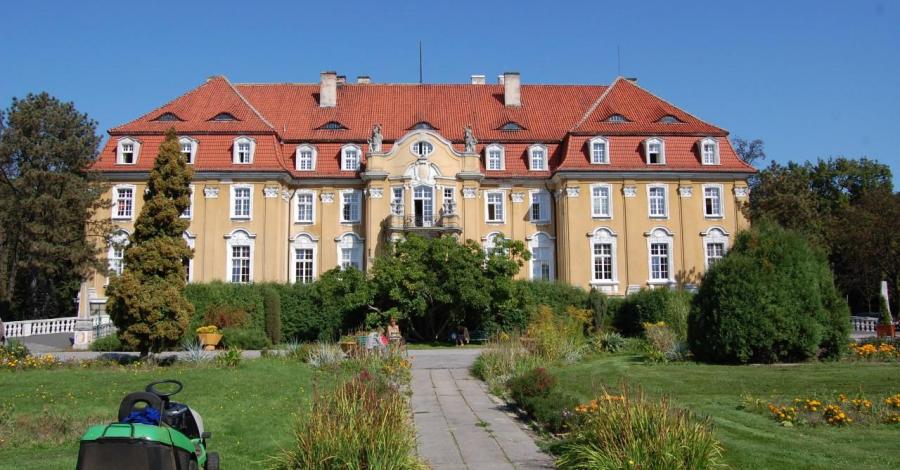 Pałac w Kochcicach. - zdjęcie