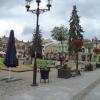 Rynek w Krośnie, Danusia