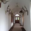 sala myśliwska, Danusia