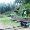 Riese Wlodarz, mokunka