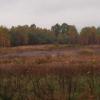 Na szlaku, Tadeusz Walkowicz