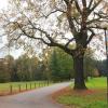 Park w Świerklańcu