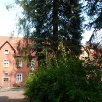 , mokunka