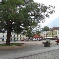 Rynek w Krośnie, Danusia