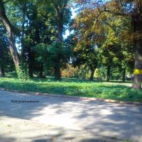 Park przy pałacu, Robert B