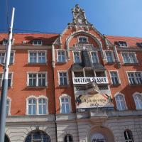 Muzeum Śląskie
